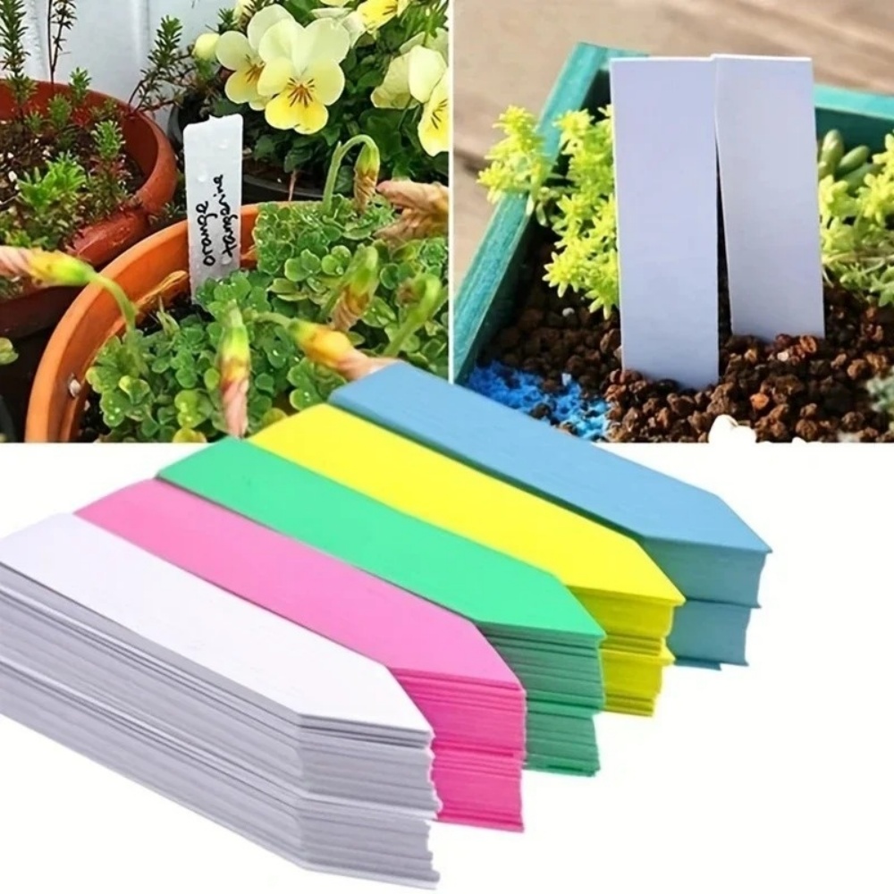 100 Etichette per Piante, Acce - Embroidery Writing recensione e prezzo