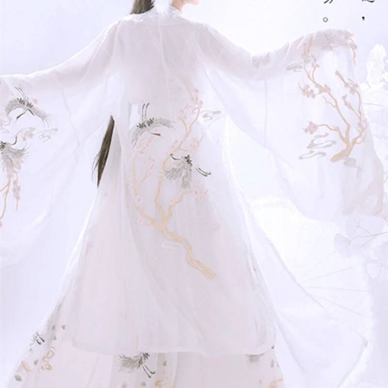 Cinese antico Hanfu Industria  - Embroidery Dress recensione e prezzo