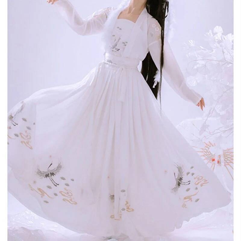 Cinese antico Hanfu Industria  - Embroidery Dress recensione e prezzo