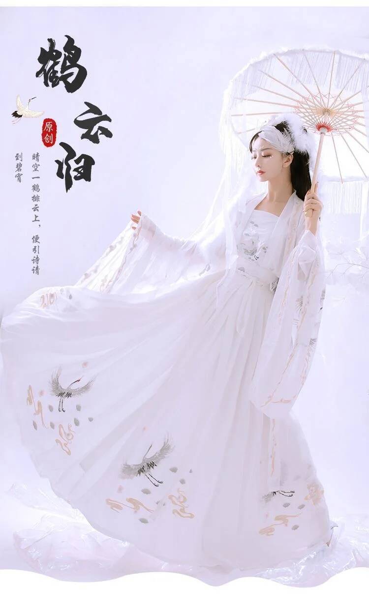 Cinese antico Hanfu Industria  - Embroidery Dress recensione e prezzo