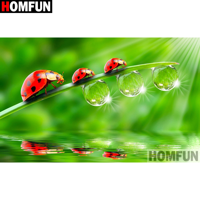 HOMFUN Arte 5D Pittura Diamant - Embroidery Lady Bug recensione e prezzo