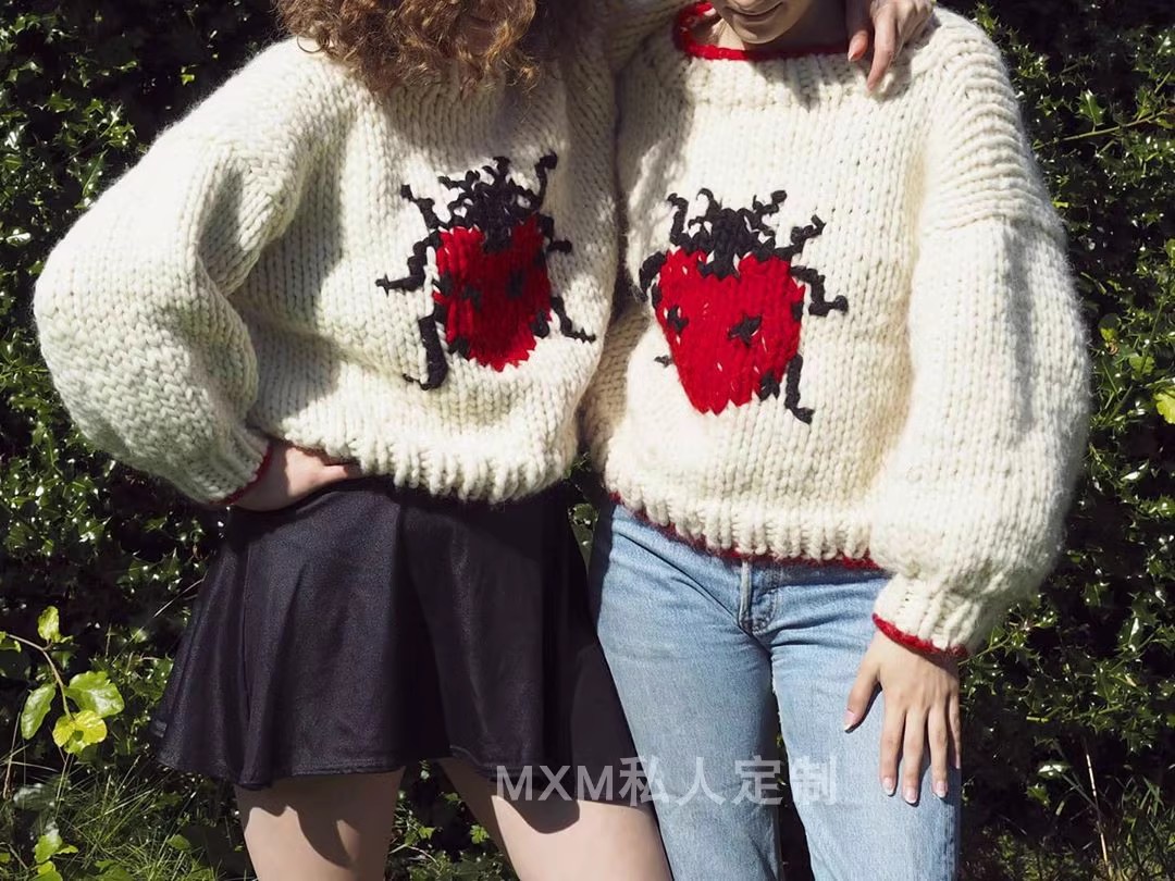 Maglione di lana grossa lavora - Embroidery Lady Bug recensione e prezzo